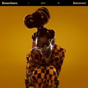 Sometimes I Might Be Introvert - Milky Clear Vinyl