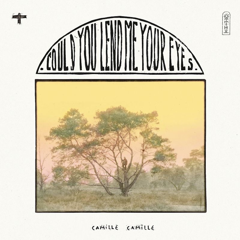 Could You Lend Me Your Eyes
