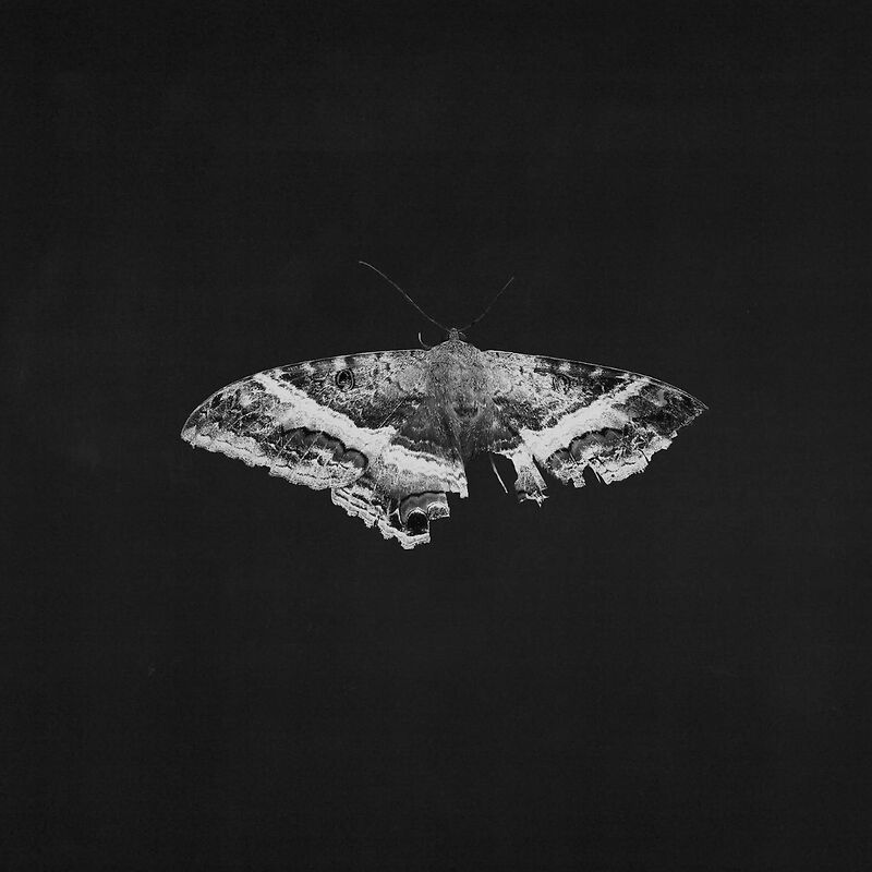 To Pimp A Butterfly - 10th Anniversary Edition