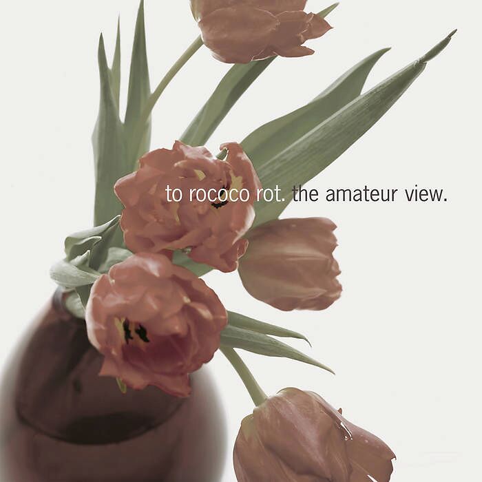 The Amateur View