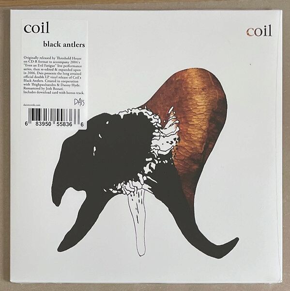 Black Antlers