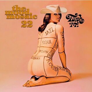 The Mood Mosaic Vol. 22