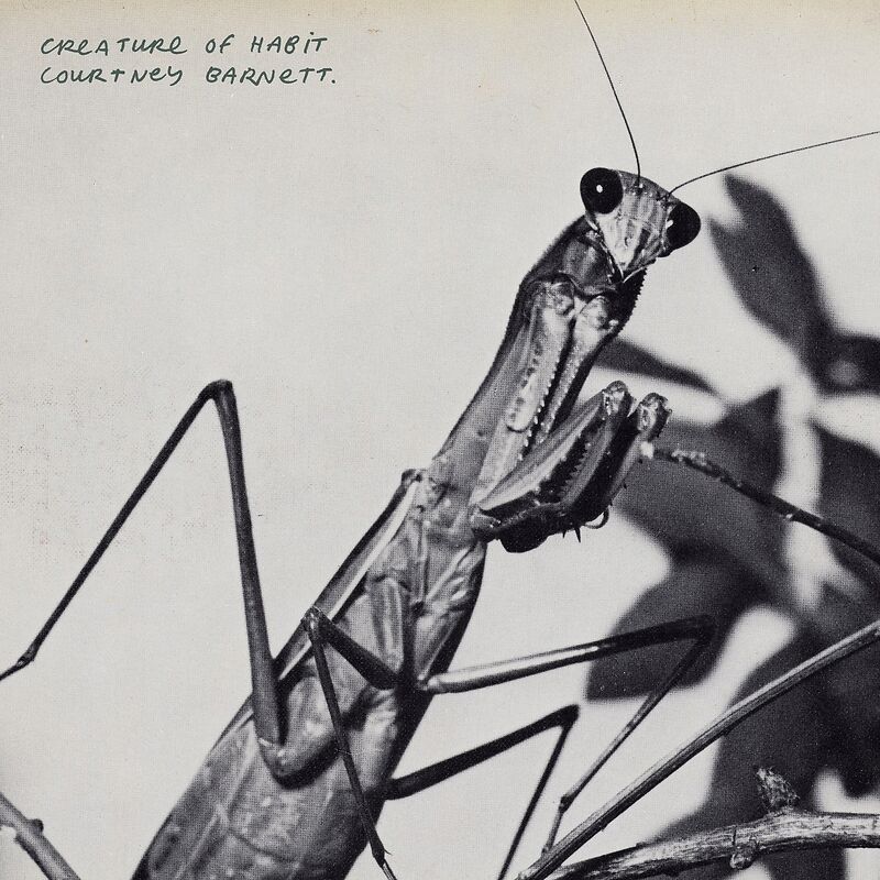 Creature of Habit - Caramel Vinyl