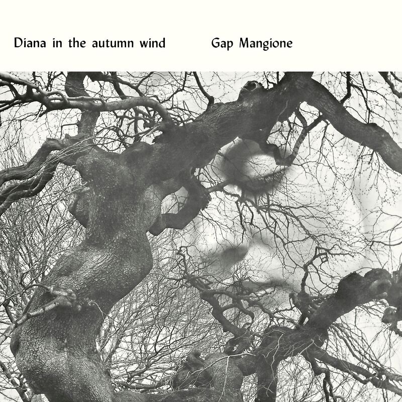 Diana In The Autumn Wind