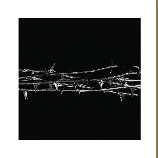 De Doorn - Ltd Gold Coloured Vinyl