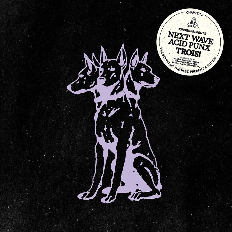 Next Wave Acid Punx Trois - Chapter 3