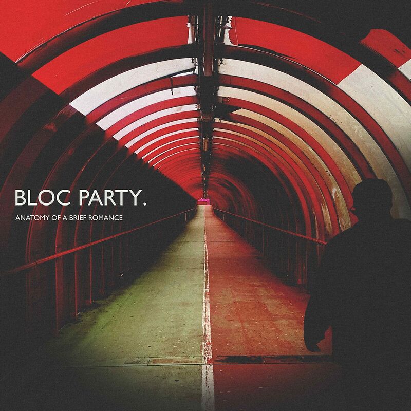 Anatomy Of A Brief Romance - Red Vinyl