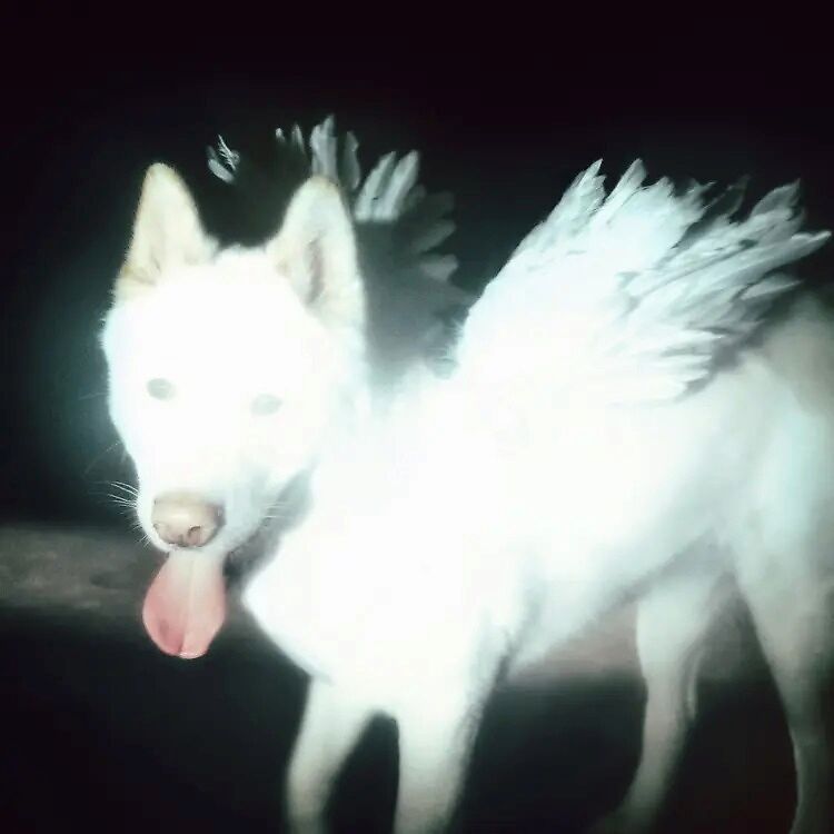 Cancel Me (I'm Tired) - Black Vinyl