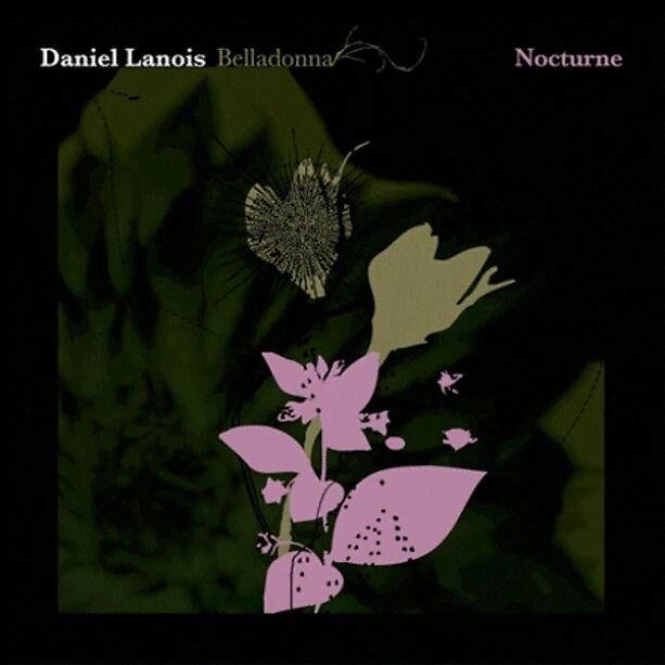 Belladonna Nocturne