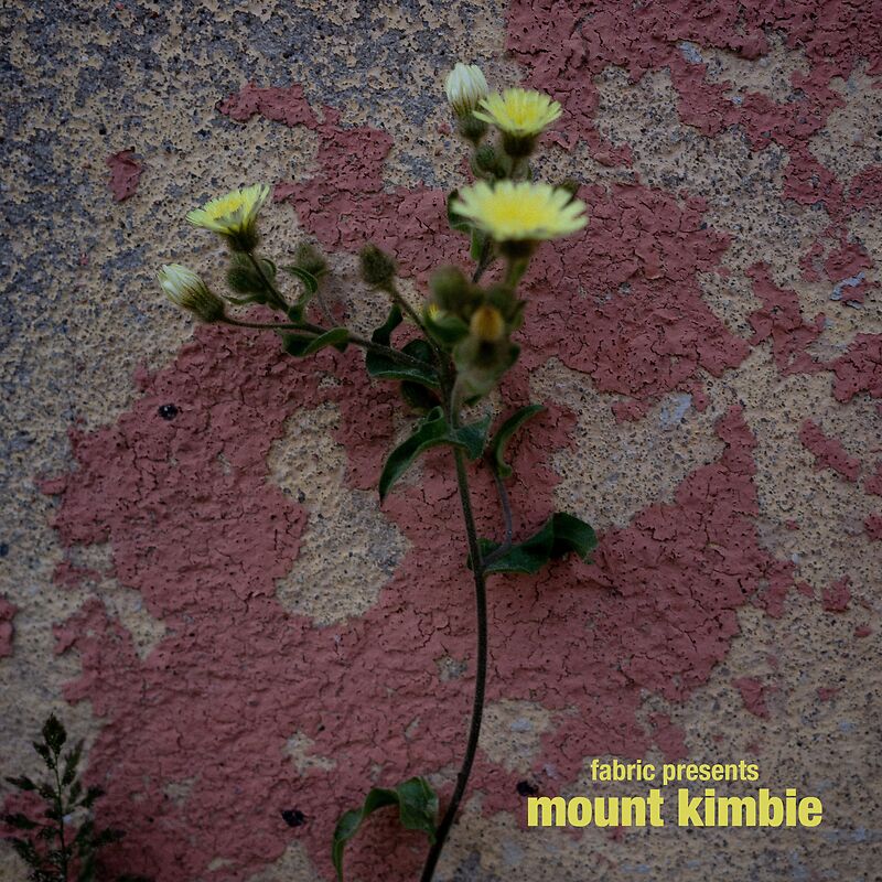 Fabric Presents Mount Kimbie LP