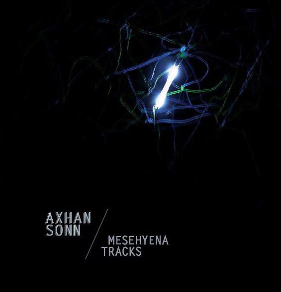 Mesehyena Tracks