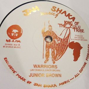 Warriors by Junior Brown