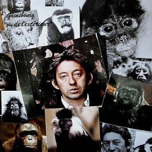 Vu De L'Extérieur by Serge Gainsbourg