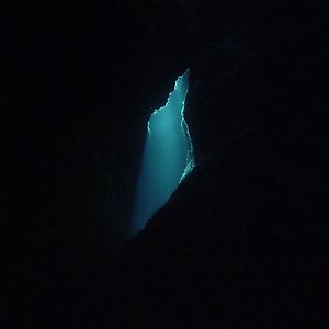 Wander / Wonder by Balam Acab