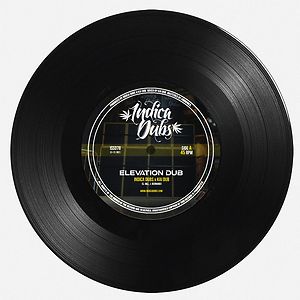 Elevation Dub by Indica Dubs