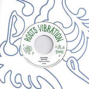 Captive by Lee Perry