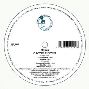 Cactus Rhythm by Plexus