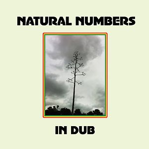 Natural Numbers In Dub by Natural Numbers