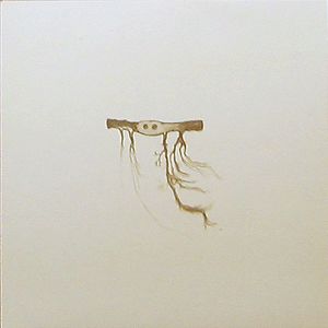 In Our Nature by José González