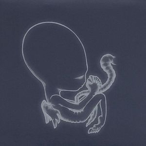 Ágætis Byrjun by Sigur Rós