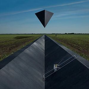 Synrise by Goose