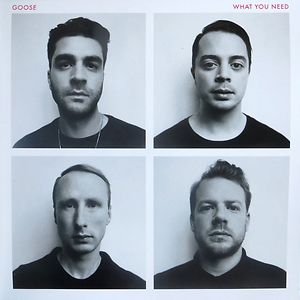 What You Need by Goose