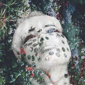 Dust by Oaktree