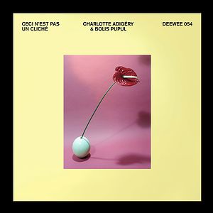 Ceci N'est Pas Un Cliché by Charlotte Adigéry & Bolis Pupul