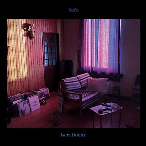 Safe - Black vinyl by Bert Dockx