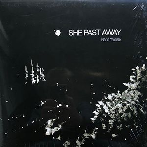 Narin Yalnızlık by She Past Away