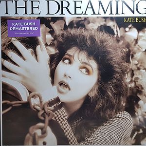 The Dreaming by Kate Bush