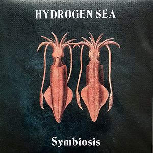 Symbiosis by Hydrogen Sea