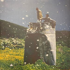 Alas My Love - Deluxe 2lp edition by The Bony King Of Nowhere