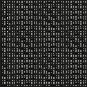Tetrahymena by Dopplereffekt