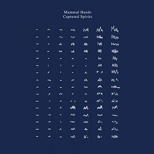 Captured Spirits by Mammal Hands