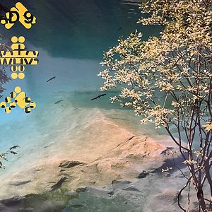 060 by Avalon Emerson