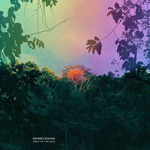 Fruit Of The Void - Black Vinyl by Kosmo Sound