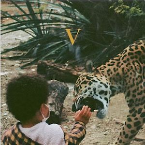 V - Regular Edition by Unknown Mortal Orchestra