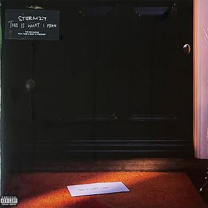 STORMZY / HEAVY IS THE HEAD 2LP レコード Heavy Is The Head Limited-Edition 2LP Picture Disc | The