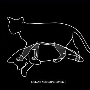 Experiment Defined by Gedankenexperiment