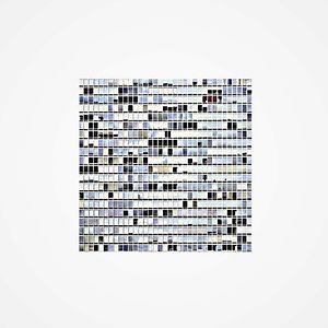 Babel by Zonderwerk