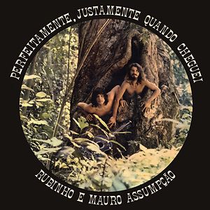 Perfeitamente, Justamente Quando Cheguei by Rubinho E Mauro Assumpção