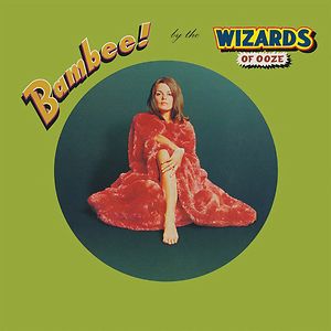 Wizards Of Ooze – The Dipster (レコード、LP) $_57.JPG?set_id=8800005007