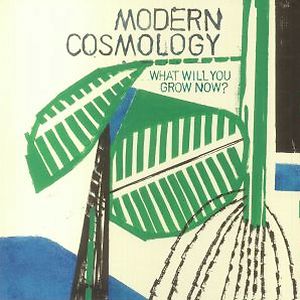 What Will You Grow Now? by Modern Cosmology