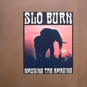 Amusing The Amazing by Slo Burn