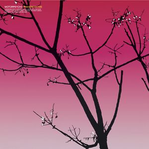 Phanerothyme by Motorpsycho