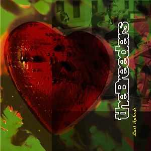 The Last Splash - 30th Anniversary Edition - Black Vinyl by The Breeders