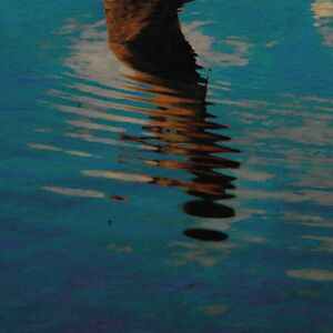Ao Mar by Ão