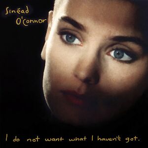 I Do Not Want What I Haven't Got by Sinéad O'Connor