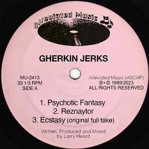 Alien, Larry Heard – 2 x LP – Music Mania Records – Ghent